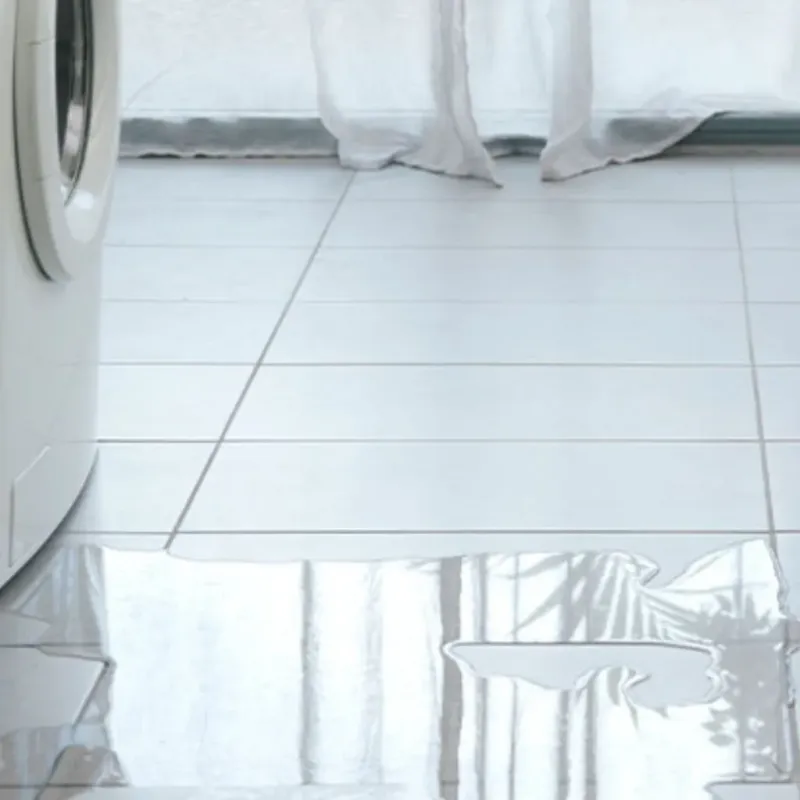 Appliance Leak Cleanup in Lorton, VA