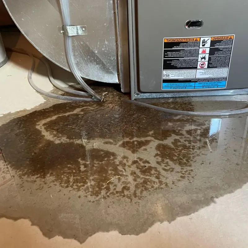 Pipe Burst and Leak Restoration in Lorton, VA